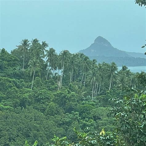 SHERCON RESORT AND ECOLOGY PARK (Mataas Na Kahoy, Batangas) - Specialty ...