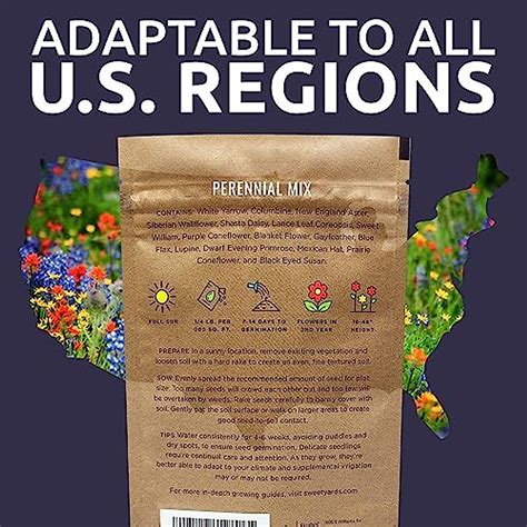 Perennial Wildflower Seeds Mixture - Bulk 1/4 Pound Bag - Over 60,000 ...
