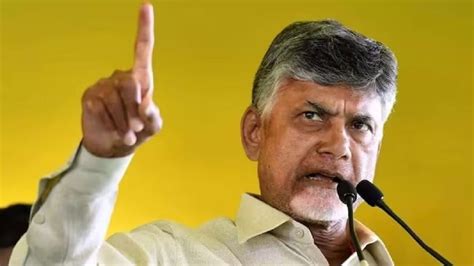 Chandrababu Naidu, TDP: These Andhra Pradesh stocks climbed up to 23% ...