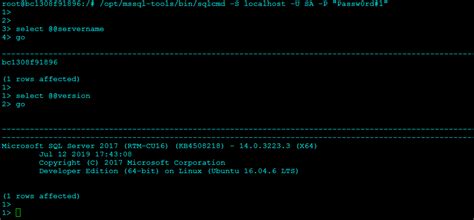 Image result for Running SQL Express On Container