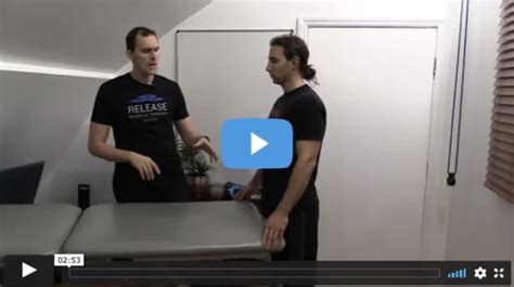 Back Extensor Muscles 的图像结果