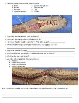 Image result for Free Virtual Earthworm Dissection Lab