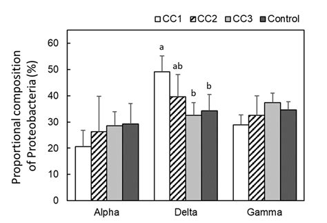 Soil Bacterial Community Composition in Cryptomeria japonica Plantation ...