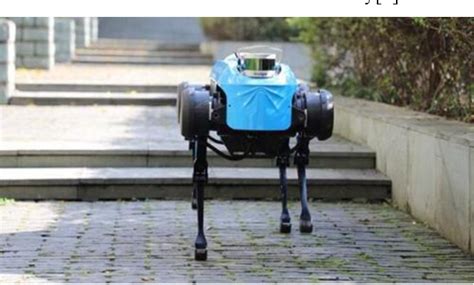 Image result for Checkpoint Robot Review