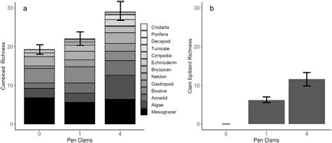 A Facilitation Cascade Enhances Local Biodiversity in Seagrass Beds