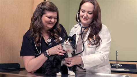 Banfield Pet Hospital in Whittier, CA 90605 - (562) 6...