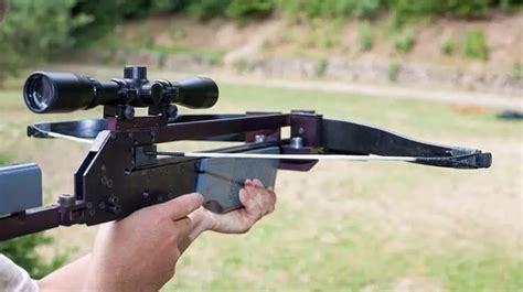 Image result for Crossbow Shooting Tips