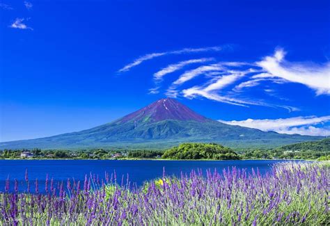 Mount Fuji Popular Photo Spots Day Tour - Yamanakako & Hikawa Watch ...
