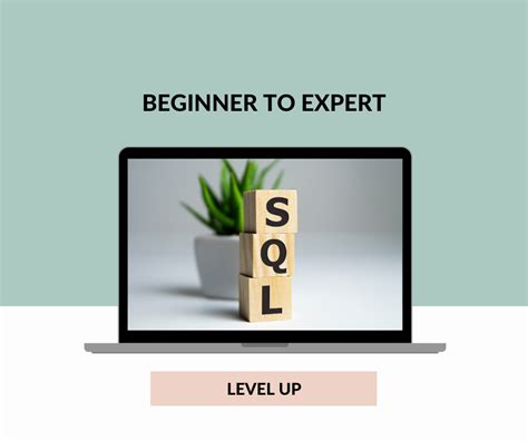 Image result for Expert-Level SQL Code