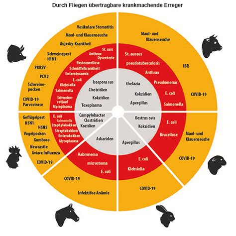 Desinfect Jod 10 Liter - Gefahrgut | Desinfektionsmittel | Reinigung ...