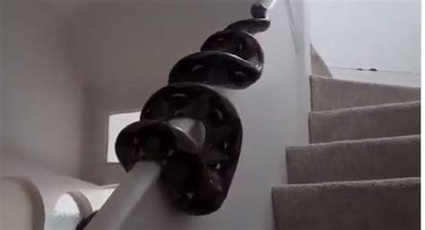 Python Video 的图像结果