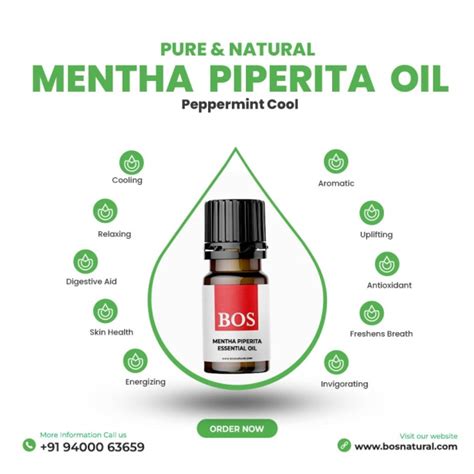 Mentha Piperita Oil - Classic Peppermint Aroma for Applications