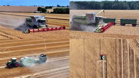 收割 的图像结果