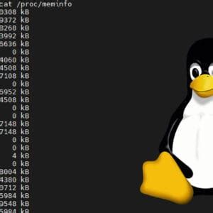 Image result for Linux Disk Usage