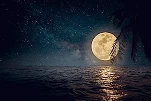 5 Ace Paper Beautiful Night Moon Scene Poster (Multi) : Amazon.in: Home ...