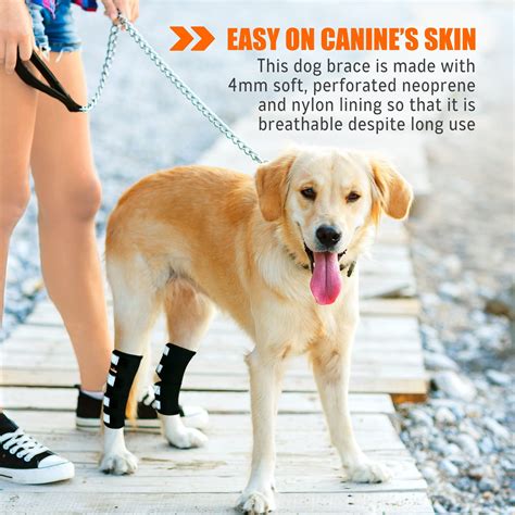 NeoAlly Dog Rear Leg Brace Long Version Canine Hock Wraps with Safety ...