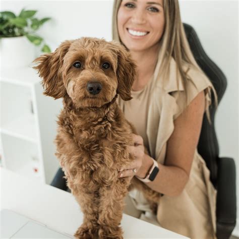 House Design Algorithm 的图像结果