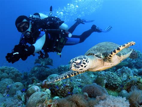 Chuuk Lagoon, Micronesia: A Wreck Diver's Dream Destination ...