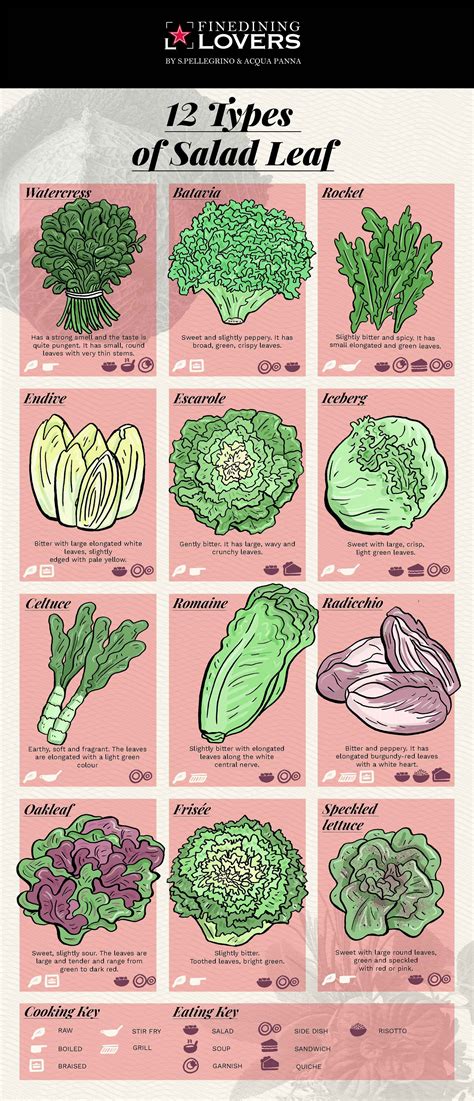 Infographic: Discover 12 Types of Salad Leaf | Types of salad, Salad ...