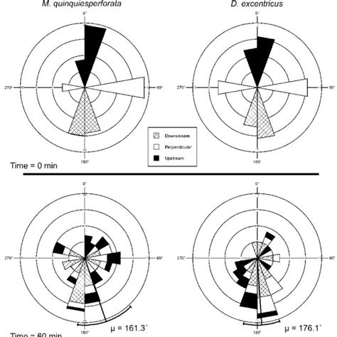 Circular Histogram 的图像结果