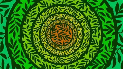 Image result for Rotating Leaf Pattern