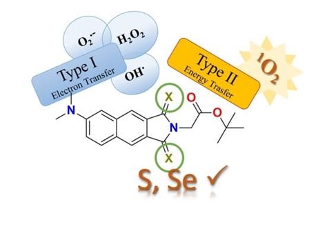 Sulphur- and Selenium-for-Oxygen Replacement as a Strategy to Obtain ...
