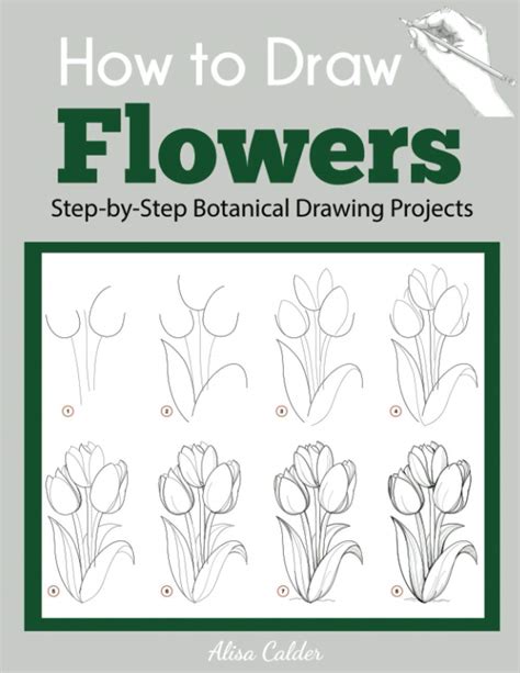 Buy How to Draw Flowers: Step-by-Step Botanical Drawing Projects Online ...
