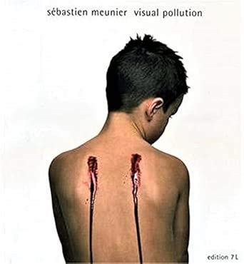 Buy Sebastien Meunier: Visual Pollution Book Online at Low Prices in ...