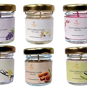 Floryn Decor® Jar Scented Candles Gift Set | Scented Candle set of 12 ...