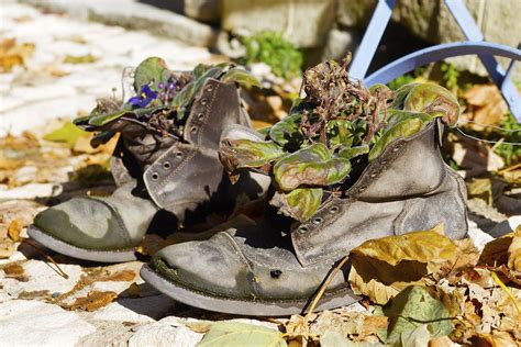 Reuse, recycle and donate shoes: Celebrate Earth Day – Paragon Footwear