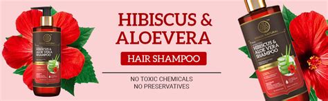Khadi Natural Hibiscus & Aloe Vera Hair Cleanser | Buy Now