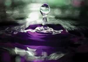 Grape Drink Drop II by Putman, Tammy - Fine Art Print on Paper : 20.25 ...