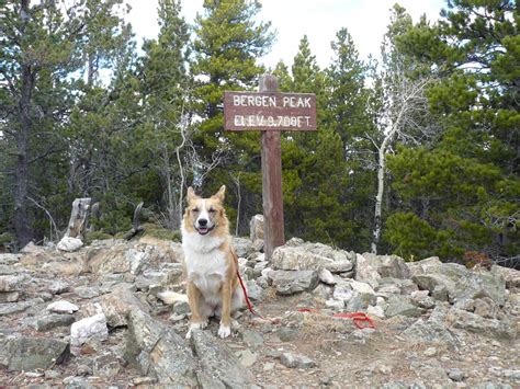 Bergen Peak, Elk Meadow Park, Colorado (11-4-15) – The (Mostly) True ...