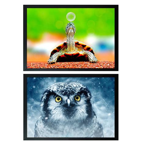 Khushi kart nature and wildlife Posters with Frame, Wild Animal Poster ...