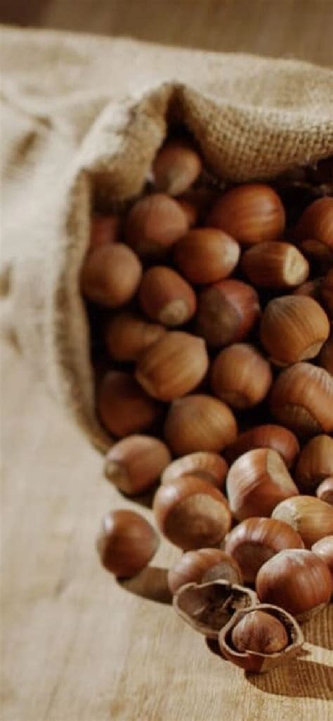 Our Company | Ferrero Food Service International | Ferrero Foodservice