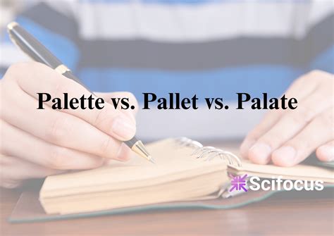 Palette vs. Pallet vs. Palate: Definitions, Examples & Easy Tips