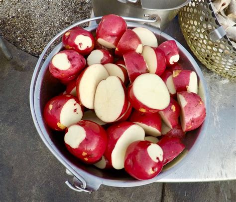 PELLETIER'S RESTAURANT & FISH BOIL, Fish Creek - Restaurant Reviews ...