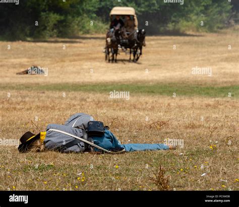 Duncan Mills, CA - July 14, 2018: Horse wagon approaching wounded ...