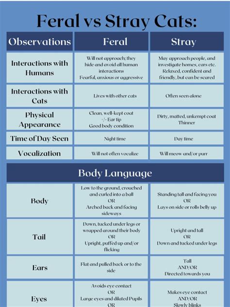 Feral vs Stray - I see a lot of questions about a cat being a stray ...