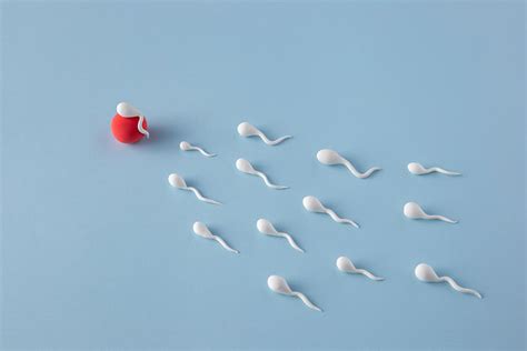 How to confirm whether sperm went inside? – mars by GHC