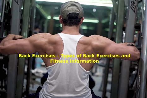 Image result for Different Back Workouts