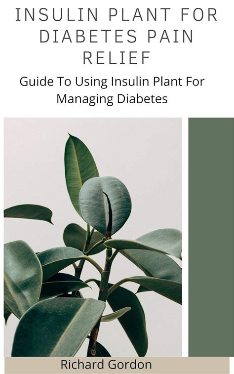 INSULIN PLANT FOR DIABETES PAIN RELIEF: Guide To Using Insulin Plant ...
