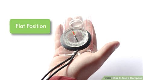 Learning to Use a Compass 的图像结果