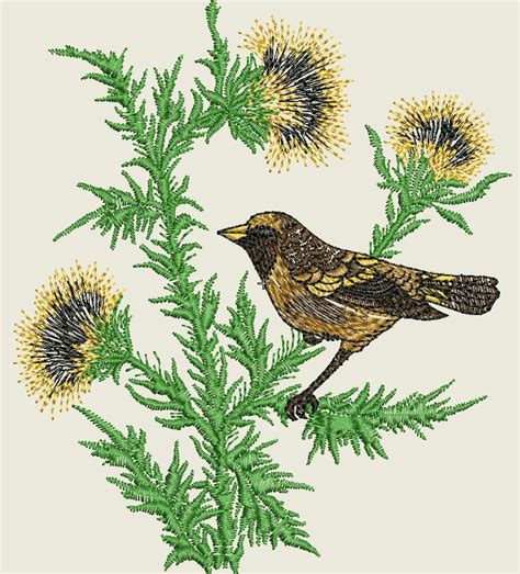 Image result for Embroidery Software for DST