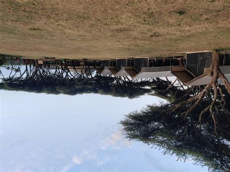 NGORONGORO KUHAMA CAMP BY TNS HOSPITALITY (Ngorongoro Conservation Area ...