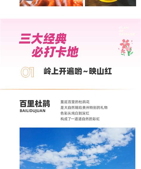 [Guizhou Spring Mountain·Flowers Covering the Peaks] 5-Day Trip to ...