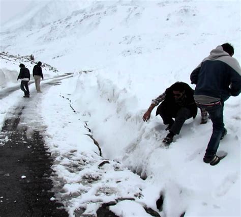 Welcome to My Tour Planner | Tour packages, Car Rental, Hotel Booking ...