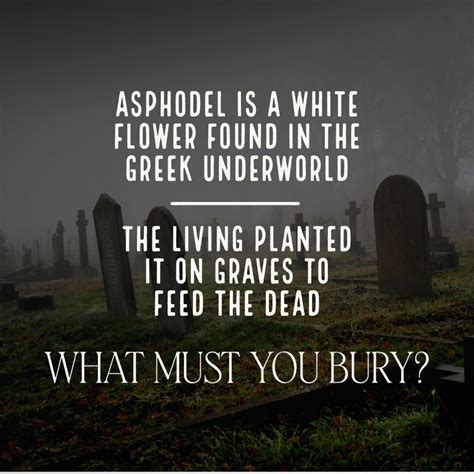 Fields of Asphodel by Venus Invictus | Apokrypha.co