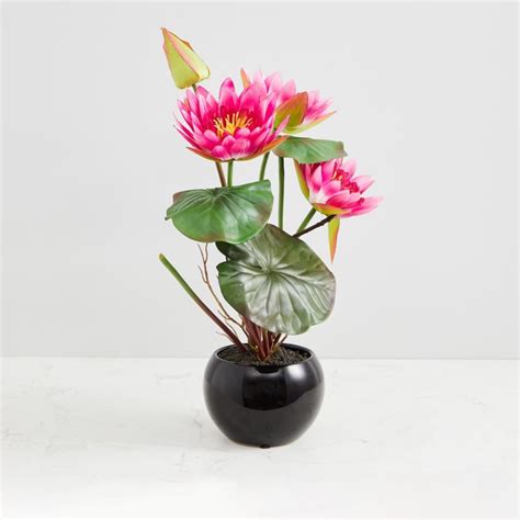 Buy Valencia-Sachi Solid Four Head Lotus in Ceramic Pot from Home ...