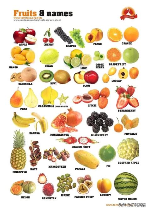 Fruits Esl Vocabulary Worksheets 7D7